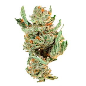 JACK HERER