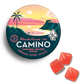 CAMINO WATERMELON LEMONADE 5MG GUMMIES