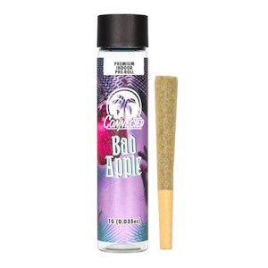 Connected - BAD APPLE PREROLL